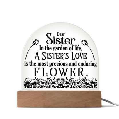 Acrylic Plaque LED sister