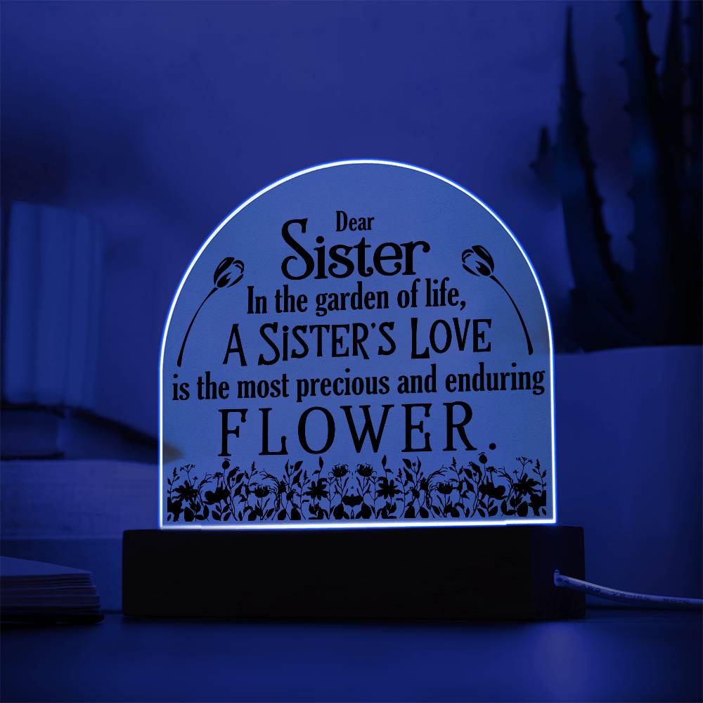 Acrylic Plaque LED sister