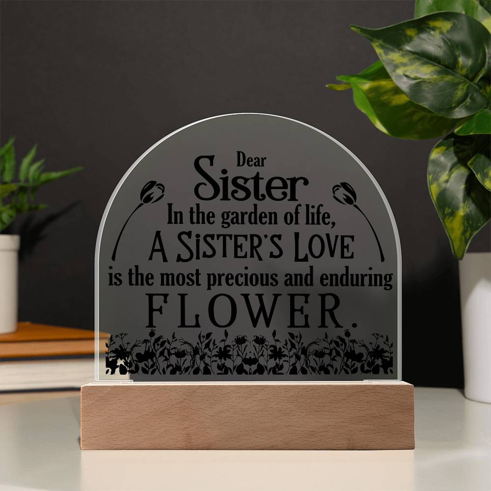 Acrylic Plaque LED sister