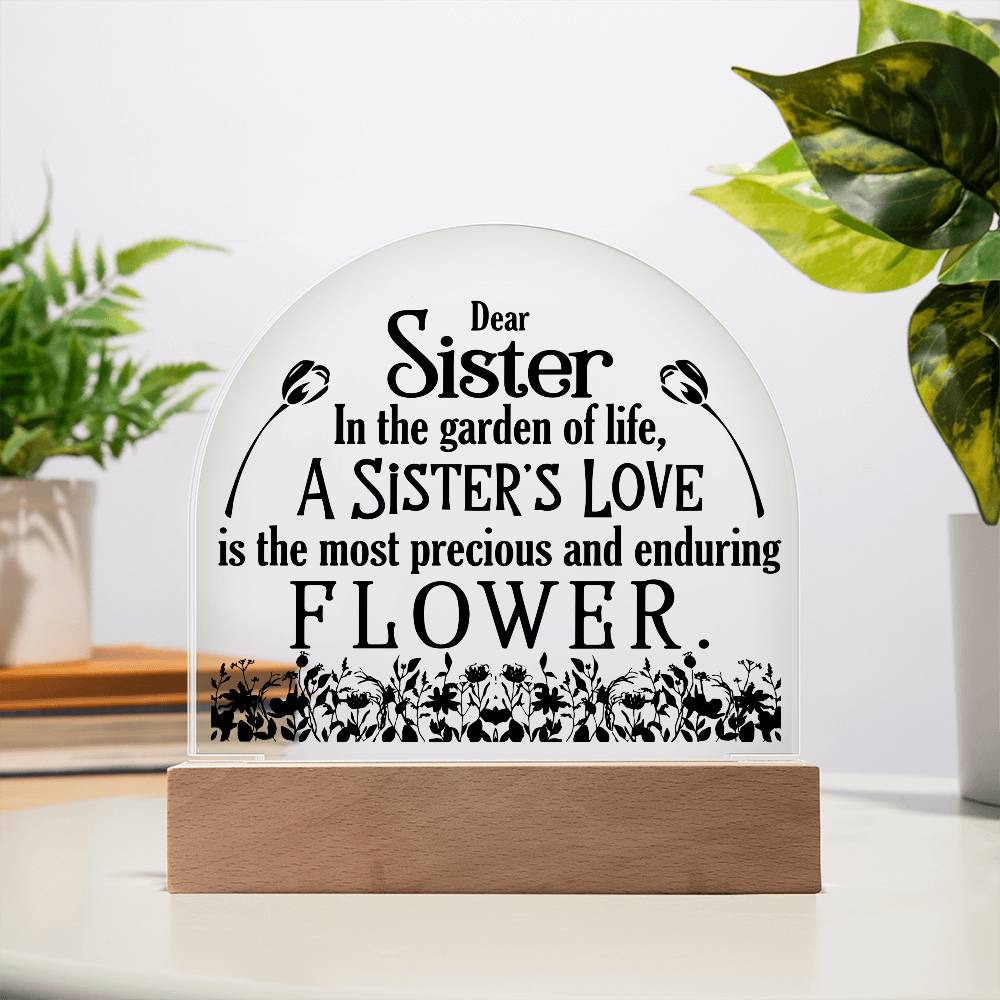 Acrylic Plaque LED sister