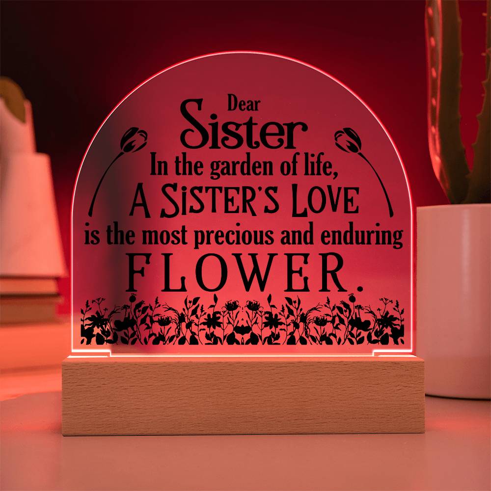 Acrylic Plaque LED sister