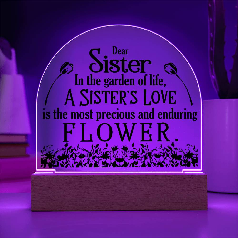 Acrylic Plaque LED sister