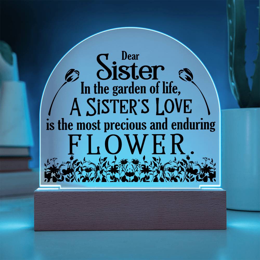 Acrylic Plaque LED sister